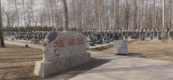 通福园公墓环境实拍
