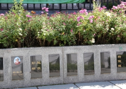 八达岭陵园环境图