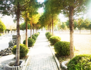 天缘神堂公墓的文化底蕴与殡葬礼仪指南