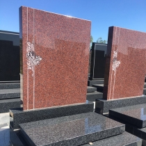 清修园兰花碑04459001