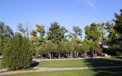 天慈墓园环境实拍2032667846_-528953767_1121327791