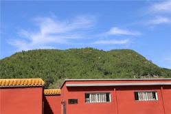 九里山公墓二区环境实拍