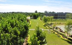 施孝园陵园环境图陵园环境