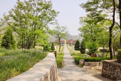 昌平凤凰山陵园环境图