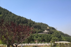 盘龙台公墓环境图