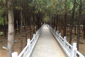 西山骨灰林陵园景观图片