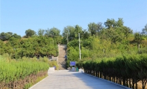 宝云岭墓园环境图-1973608994_-650870636_-1367420984