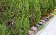 太子峪陵园环境图622643804_-1329872181_-1916910634