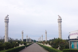 探索城市边缘的静谧之地：一座陵园的生态与人文之美