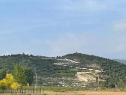 雁阳山公墓环境