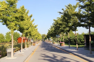 天慈墓园景观图片