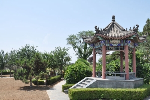 静安墓园景观图片