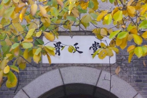 万安公墓景观图片