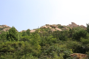 昌平佛山陵园景观图片
