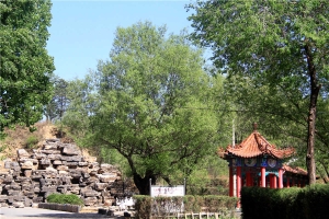 福安园公墓景观图片
