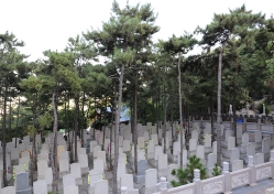 金山陵园环境图
