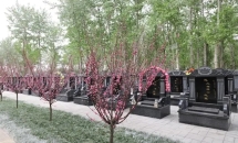 通福园公墓环境实拍38dbb6fd5266d016725cc46447a6f70b34fa354a.webp