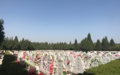 天堂公墓环境图墓区