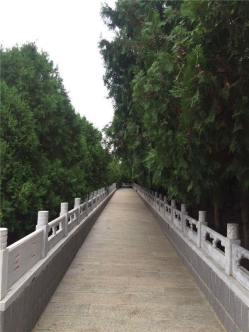 西山骨灰林陵园