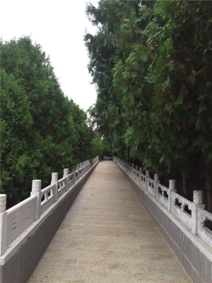 北京公墓选择指南与文化传承解析