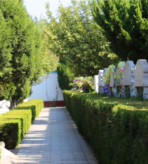 天堂公墓网上祭扫指南与防骗提醒