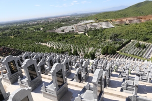 炎黄陵园景观图片