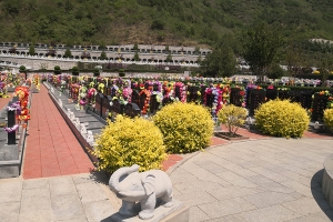 德陵公墓景观图片