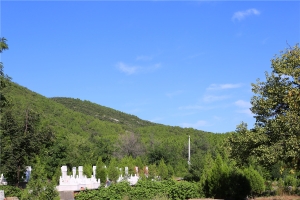 华夏陵园景观图片