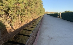 卧龙公墓环境实拍1585040180341