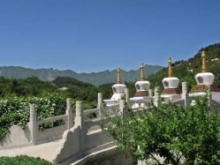 清东陵万佛园环境实拍