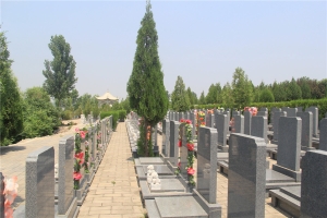 万佛园公墓：慎选官方渠道 谨防虚假信息