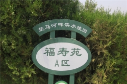 涿州万佛园公墓环境