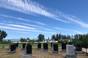 天福园公墓景观图片