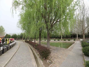 天缘神堂公墓的历史文化与环保理念探析