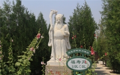 涿州万佛园公墓环境福寿苑B区C区