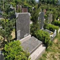 龙颌园立碑083972001