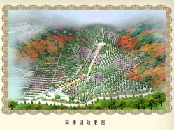 十三陵景仰园陵园环境实拍图片