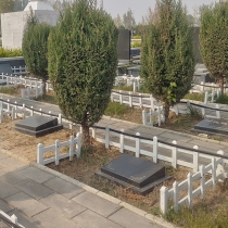 生态树葬双穴卧碑198000.4