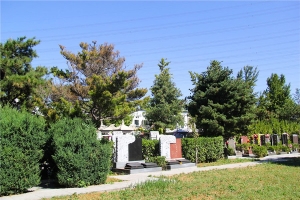 北京朝阳陵园景观图片