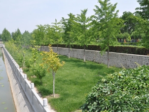 北京市朝阳陵园地址及周边交通指南
