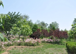 静安陵园价格解析与服务指南