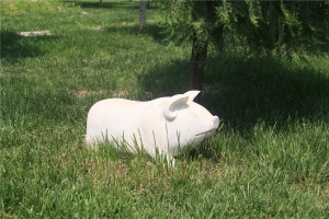 涿州万佛园墓地价格与选购指南涿州万佛园作为华北地区知名的园林...