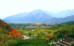 十三陵景仰园陵园环境实拍图片1-23041Q15225