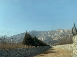 西山公墓环境图