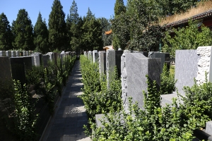 福田公墓景观图片