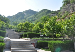 九公山陵园环境实拍