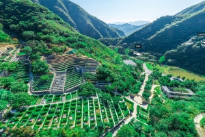 九公山陵园景观图片