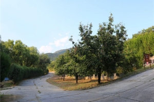 宝云岭墓园景观图片