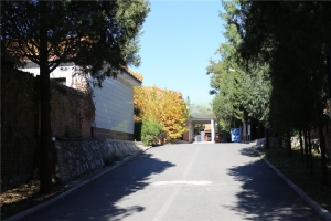 道馆内路