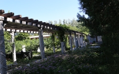 福田公墓环境图走廊